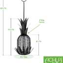 Pineapple Bird Feeder