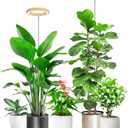 Grow Lights for Indoor Plants, Full Spectrum Plant Lights for Indoor Growing with 6/12/16H Timer, 3 Optional Spectrums, 5 Brightness, Height Adjustable 10"-65" Wood Grain Growing Lamp