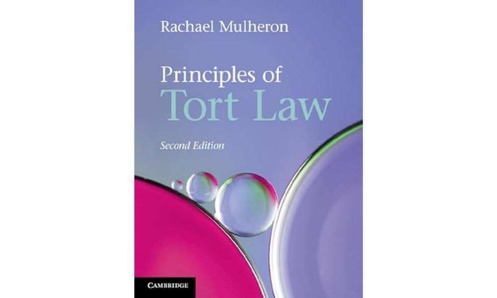Principles of Tort Law, Paperback