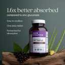 New Chapter Zinc Supplement, Fermented Zinc Complex, ONE Daily for Immune Support + Skin Health, Mineral-Balancing Formula Rich in Copper, Easy to Swallow & Digest, 60 Count (2 Month Supply)