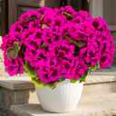 Lovemoon 16 Pcs Artificial Geranium Plant Realistic Silk Flowers for Outside UV Resistant Faux Geraniums Flowers for Indoor Outdoor Home Garden Office Decoration (16, Rose Red)