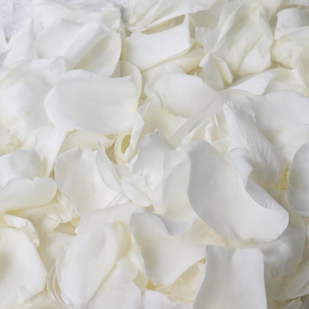 Dried Real White Rose Petals,  Freeze Preserved Flower Petals for Valentine's Day Gifts Wedding Party Decor, Flower Girl, Dinner table Centerpieces, Bridal Shower, Flower Confetti