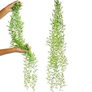 SEEKO Succulents Extra Large Fake Seaweed (Pack of 2, 33" Long) - Artificial Succulents Unpotted - String of Pearls
