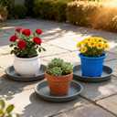 TITE Plant Saucer Heavy Large Planter Durable Thicker Plastic Plant Trays for Indoors and Outdoor,Plant Saucer Drip Trays (Grey, 16 inch)