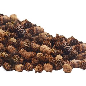 Deloky 150 Pcs Christmas Natural Mini Pine Cones- 2CM Thanksgiving Small Pinecones Ornaments Vase Fillers for DIY Crafts, Home Decorations, Fall and Christmas, Wedding Decor (Brown)