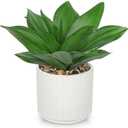 Hollyone Artificial Agave Plants Fake Succulent Agave Plant Potted in White Pot Succulents Aloe Plant for Desk Modern Office Living Room Table Shelf Home Indoor Outdoor Decor (Style 4)