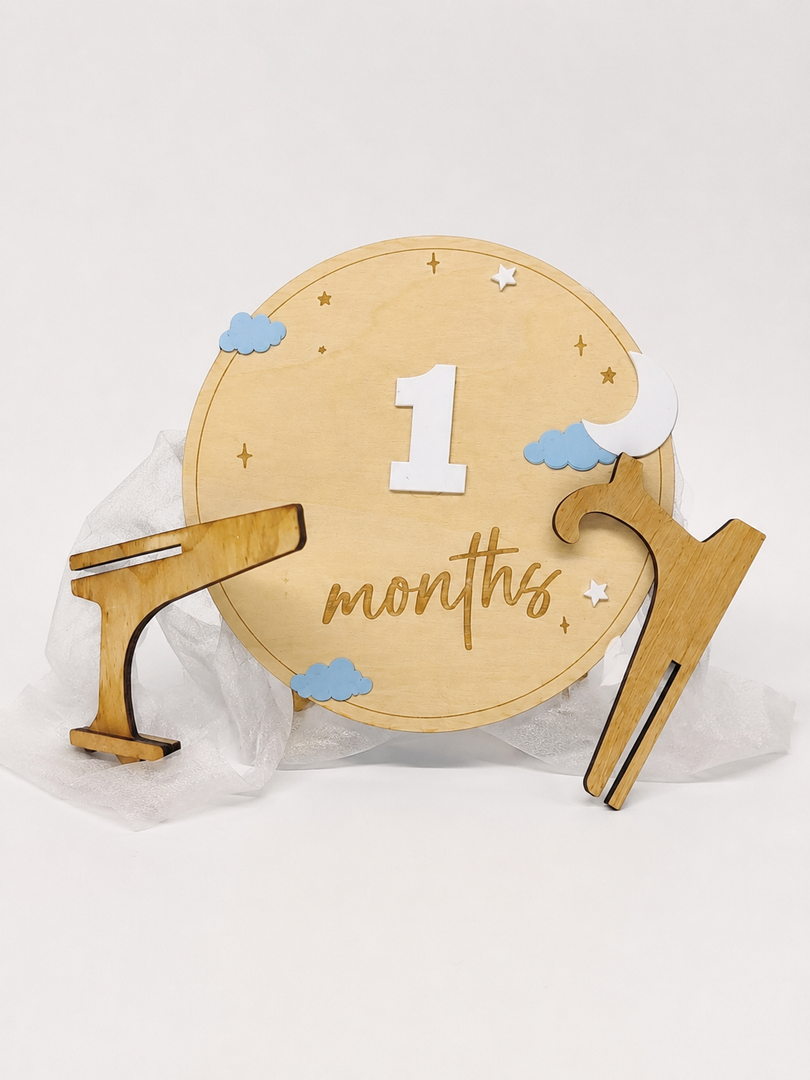 Baby Girl Monthly Milestone Signs, 1-12 Monthly Baby Milestone Girl, Newborn Photography Props Double-Sided, Nursery Decor for Girls (M03)