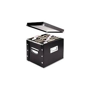 Snap and Store Letter File Box