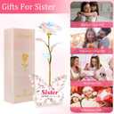 Unique Gifts for Sister, Pink Preserved Galaxy Rose with 4.23.15 Inch Acrylic Butterfly Stand - Delicate Sister Birthday