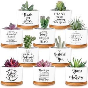 Yaomiao 20 Pcs Valentine's Day Gift Thank You Employee Appreciation Gifts Bulk Succulent Plant Gifts for Women Ceramic Pot Succulent Flower Pots with Bamboo Tray Thank You Gift for Coworkers