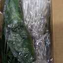 KASZOO 12 Pack Artificial Ivy Leaf Plants with 240 LED Window Curtain String Lights, Fake Plants Vine Hanging Garland, Hanging for Wall Party Wedding Room Home Kitchen Indoor & Outdoor Decoration