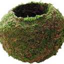 Moss Ball Flower Pot Natural Planter Bonsai Plant Holder Bird Nest for DIY Gardening Home Table Decoration - 9cm