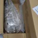 KCO Wall Sconce Mid-Century Drop Design Wall Mounted Light Brushed Brass Wall Lamps, Wall Mount Light Fixture for Bedside Living Room (2 Pack)