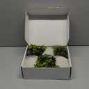 Der Rose 3 Pack Mini Potted Fake Plants Artificial Plastic Eucalyptus Plants Topiaries for Home Office Desk Farmhouse Shelf Room Bathroom Decor(Green)