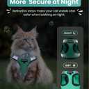 FAYOGOO Escape Proof Cat Harness and Leash Set for Walking, Secure-Fit Step-in Cat Vest Harness, Soft & Lightweight for Kittens and Large Cats, L