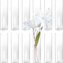 Clear Glass Bud Vase Set of 12 Pcs, Small Glass Vases in Bulk Mini Glass Vintage Vases for Centerpiece Rustic Wedding Table Decoration (12 Pcs - 2)