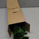 SAROSORA Artificial Ficus Tree Small Fake Plants in Weaved Pot 20" Height for Living Room Desktop Decor Indoor Home Office Ins Style (Green, 1)