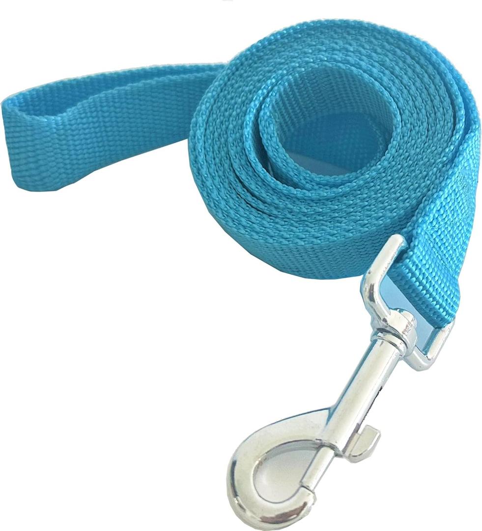 Nylon Dog Training Leash, Traction Rope, 4Ft /5 Foot /6 Feet Long, 5/8 inch 3/4 Inch 1 Inch Wide, for Small and Medium Dogs (Sky Blue)