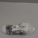 On Gossamer Women's Gossamer Mesh Hi-Cut Brief Panty (Medium, Black)