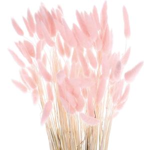 MECCANIXITY 120pcs Natural Rabbit Bunny Tails Dried Flowers 24" Mini Pampas Grass Lagurus Ovatus Bunch for Floral Wedding Decor Christmas, Pink