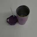 Stanley IceFlow Flip Straw Tumbler with Handle 30 oz | Twist On Lid and Flip Up Straw | Leak Resistant Water Bottle | Insulated Stainless Steel |BPA-Free | Lilac (30 Ounces, Lilac)