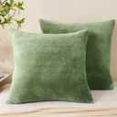 BEDELITE Velvet Pillow Covers 26x26 with Zipper, 2 Pack Super Soft Square Pillow Covers for Bedroom, Sofa, Luxury Cozy Fleece Pillowcases for All Seasons (26x26 Inches, Sage Green)