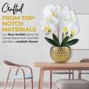 Large White Orchids Artificial Flowers with Gold Pot, 17"
