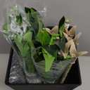 GarveeLife 16 in Tall Planters Set of 2, OutdoorIndoor Black Planter Pots, High Front Porch Planter Pots with Drainage HolesWater Level MonitorInner Bucket, Automatic Watering,Black