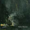 Lanterns in the Night Market: Poems (Volume 36) (21st Century Poets)