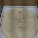 Old Stone Round Pizza Stone, 16-Inch