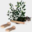 Wall-Mounted Cat Hammock with 2 Steps  Space-Saving Wooden Cat Shelves for Climbing, Perching & Lounging