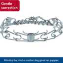 Herm Sprenger - Ultra-Plus Prong Dog Training Collar with Latch - Chrome - 3.8mm x 22" Neck Size; 25" Chain Length