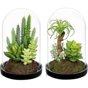 Set of 2 Artificial Succulents Plants in Glass Dome with Featuring Sand Moss, Small Fake Aloe Succulents Plants Faux Plants Indoor Decor for Home Office Table Desk Shelf Room Hostess Gift
