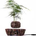Levitating Plant Pot Magnetic Floating Plant Pot 360 Degree Rotating Bonsai Home Desk Decor for Living Room Office bar Birthday Gift (1, Reddish Brown)