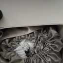 Pro Goleem Satin Bassinet Sheet 2 Pack Great for Baby Hair Soft Silk Feeling Sheet for Cradle or Bassinet PadMattress for Boys and Girls Gift for Newborn and Infant White and Gray