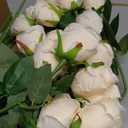 Jexine 50 Pcs Artificial Rose Flower Bulk Realistic Silk Fake Roses with Long Stem Plastic Artificial Flower Bouquet Real Looking for Home Wedding Centerpieces Party Decoration(Beige Champagne)