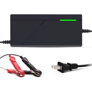 24V 10A Lithium Battery Charger 29.2V LiFePO4 Battery Charger, Battery Maintainer, Smart Charger with LED Indicator Cooling Fan for Lithium LiFePO4 Batteries