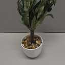 Artificial Olive Tree15'' Small Faux OliveTree Fake Olive Plants with White Pot for Home Bedroom Table Shelf Office Hotel Decor, Briful