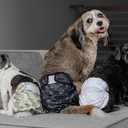 Pet Parents Washable Dog Diapers (3pack) + Extendrs of Durable Doggie Diapers, Premium Dog Diapers Female & Male (Large, Camo)