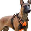 rabbitgoo Dog Harness for Large, No Pull Pet Harness with 3 Buckles, Adjustable Soft Padded Pooch Vest with Instant Control Handle, Easy Walking Reflective Pet Vest for Extra Large Dogs, Orange, XL