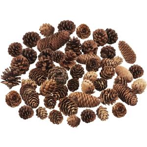 40 PCS Rustic Pine Cone Decorations - Large, Medium and Mini Sizes for Table, Tree and Home Decor