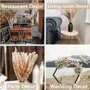 110 PCS Dried Pampas Grass Bouquet, Boho Table Decor, Bunny Tails Dried Flowers, Brown Pompas, White Pampas Grass for Wedding, Home, Rustic Party, Baby Shower Decorations
