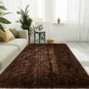 LOCHAS Ultra Soft Indoor Modern Area Rugs Fluffy Living Room Carpets for Children Bedroom Home Decor Nursery Rug 5x8 Feet, Brown (5 x 8 Feet)