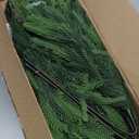 Consevisen Norfolk Pine Stems, 24 Inch Realistic Touch Artificial Pine Branches, 9-Branch Full Faux Christmas Greenery Picks for Vases Cedar Wreaths Garland Indoor Outdoor Christmas Decoration, 6Pcs