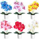 Thiccywoov 6 Pcs Fake Orchids Flowers in Pot 6 Colored Artificial Orchid Flowers with Plastic Vase Washable Silk Orchid Phalaenopsis Decor for Table Centerpiece Home Decor Office Wedding Party