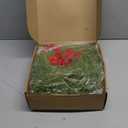 Hotop 4 Set Mini Christmas Wreath for Cabinet Kitchen Windows Decors Bulk with Red Bow Small Artificial Norfolk Farmhouse Wreaths with Berry Pine Cone for Fireplace Front Door Porch Wall Hanging