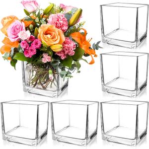 6 Pack Square Glass Vases 5 x 5 x 5 Inch, Clear Cube Flower Vases for Centerpieces, Candle Holders for Wedding Party Home Decor