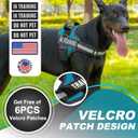 Essential Dog Harness with 3 Leash Clips - No-Pull, Adjustable, Comfortable Pet Vest Harness for Small to Large Dogs - Easy On, No Choke, Reflective, Padded Harness for Walking and Training (S(Neck:14-18",Chest:16-21"), Turquoise)