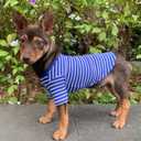 YQYS Pet T-Shirts Thick Striped Cotton Tee Shirt for Small Dogs and Cats Puppy Clothes Apparel Clothing for Teacup Chihuahua Yorkie Poodle Blue White Small