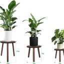 Amdermi 3-Pack Wood Plant Stands Indoor, Single Plant Stand for 6-12 Inch Pots, Mid-Century Modern Plant Stool, Tall Plant Stand for Large Plants for Living Room, Balcony, Office